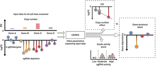 Schematic of the Ceres computational model